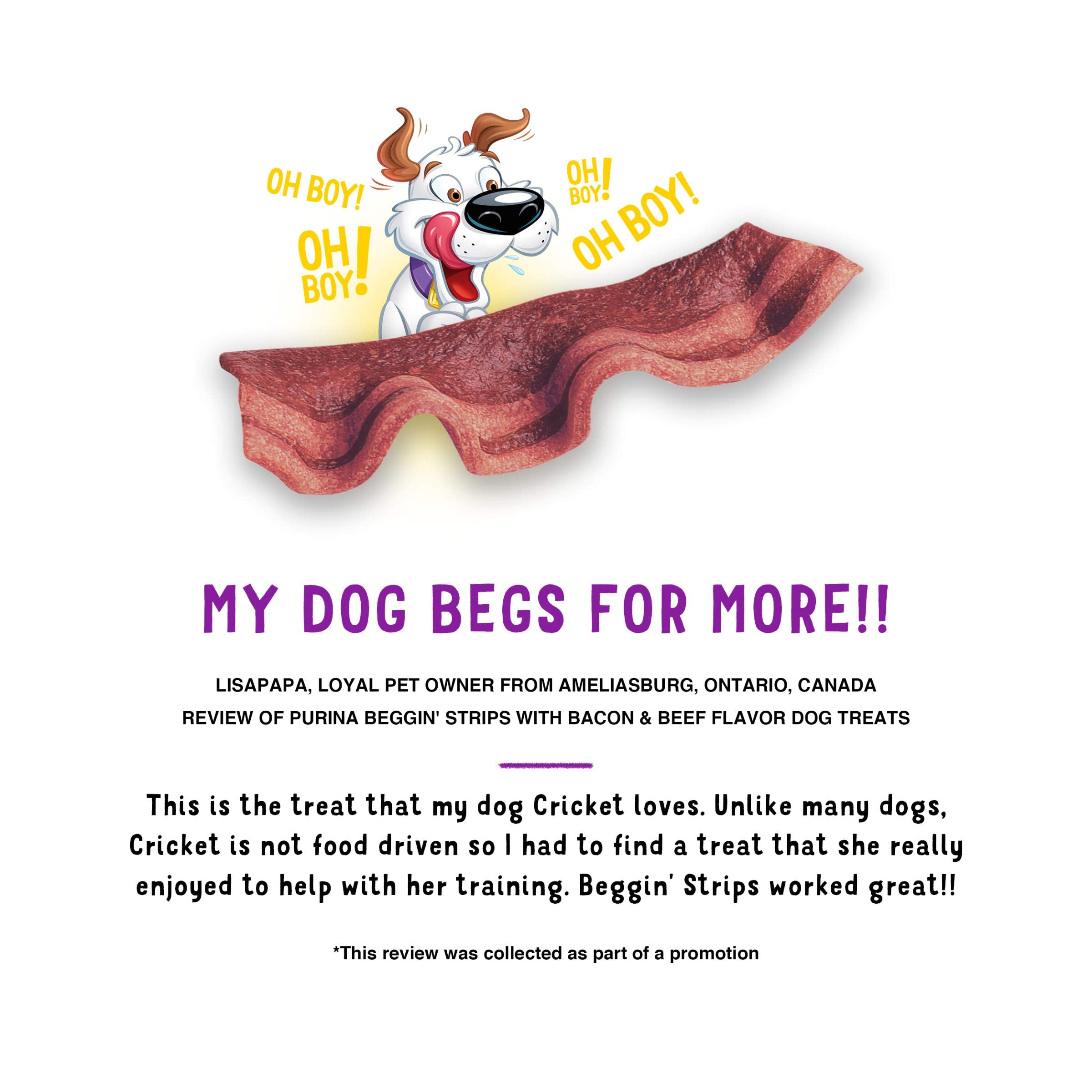 Purina Beggin' Strips arôme bacon, stimulateur d'appétit canin.