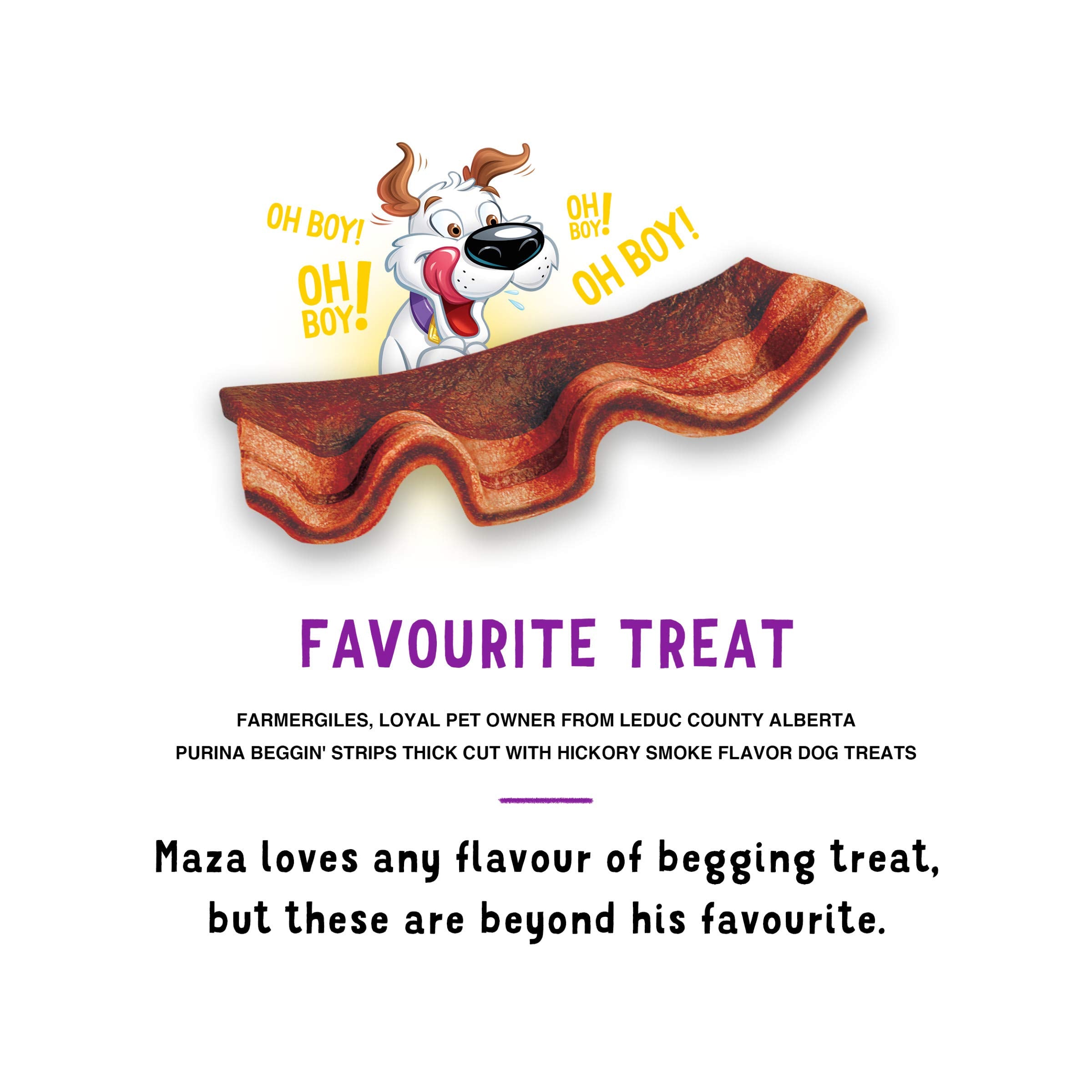 Purina Beggin' Strips, sachet 2 paquets, option pratique et économique.