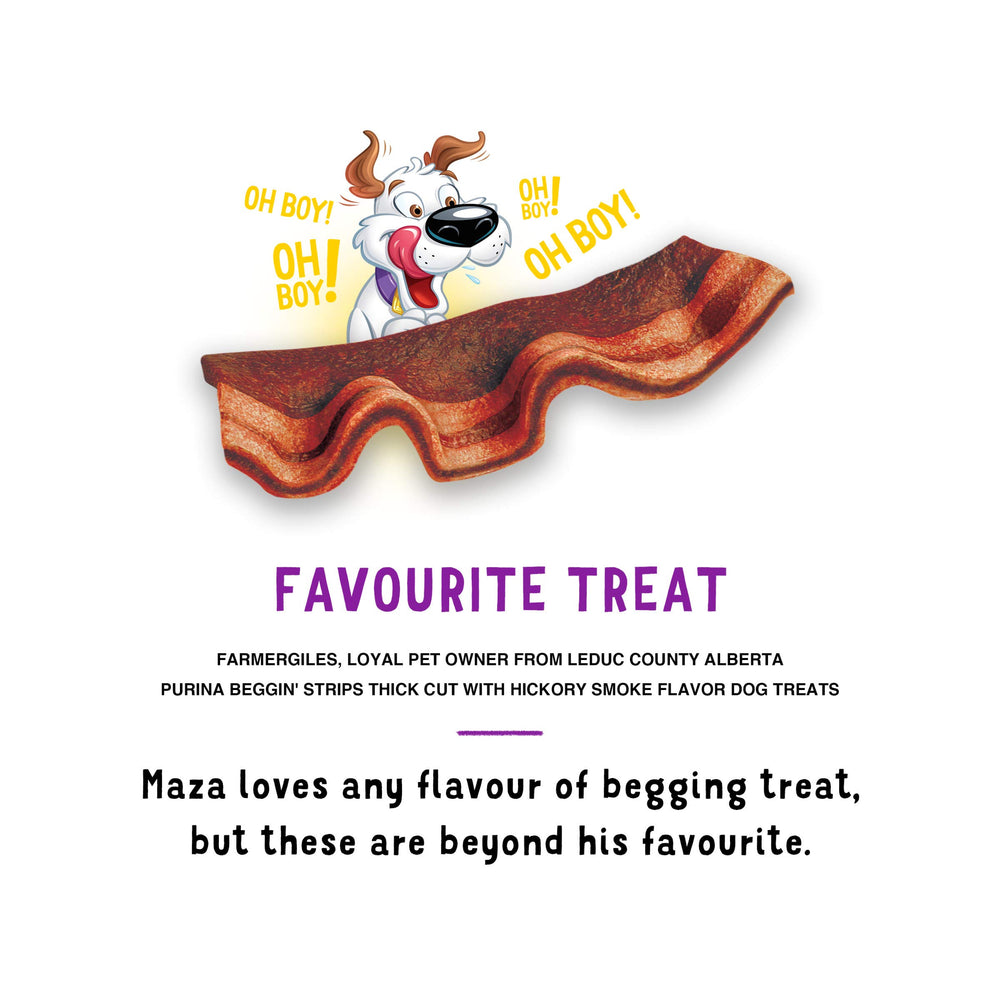 Purina Beggin' Strips, sachet 2 paquets, option pratique et économique.