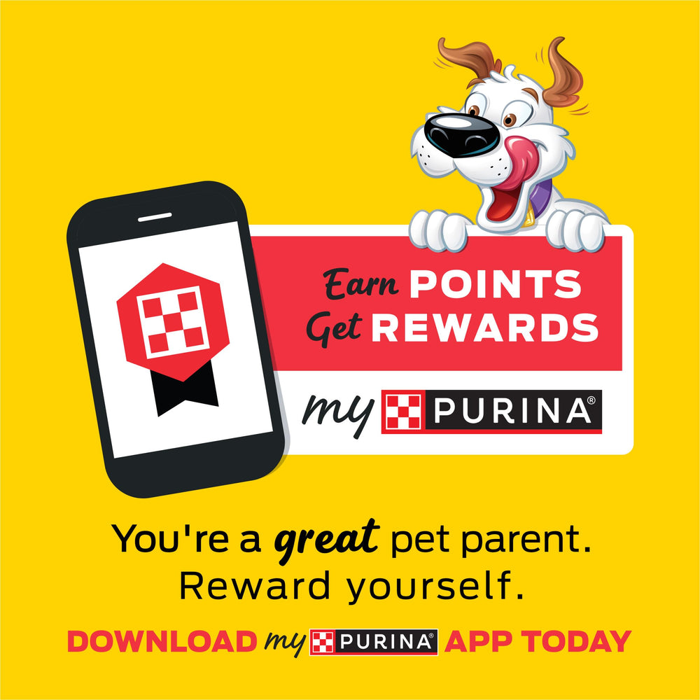 Purina Beggin' Strips; sans colorants artificiels, choisies pour une alimentation simple.