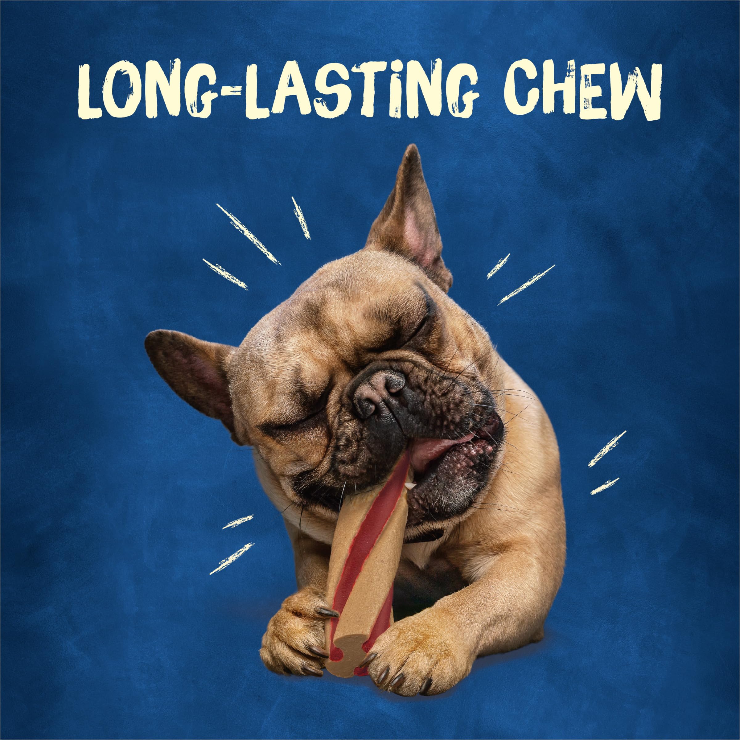 Purina Busy Beggin’ Twist’d mini, texture ferme favorise une longue mastication.
