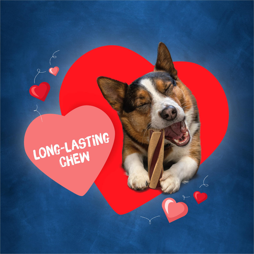 Purina Busy Beggin' Twist'd : arôme bacon appétissant qui attire le chien.