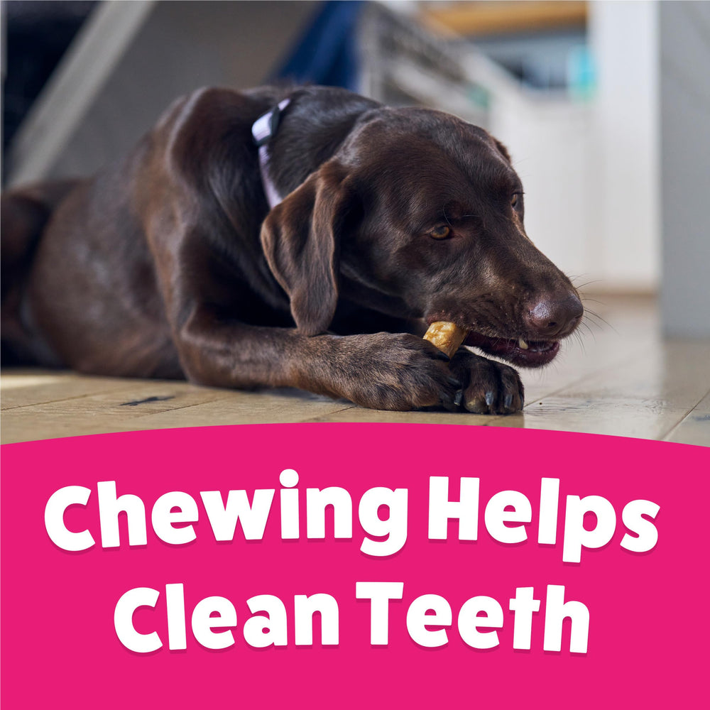 Purina Busy Bone idéal pour petits et moyens chiens adultes