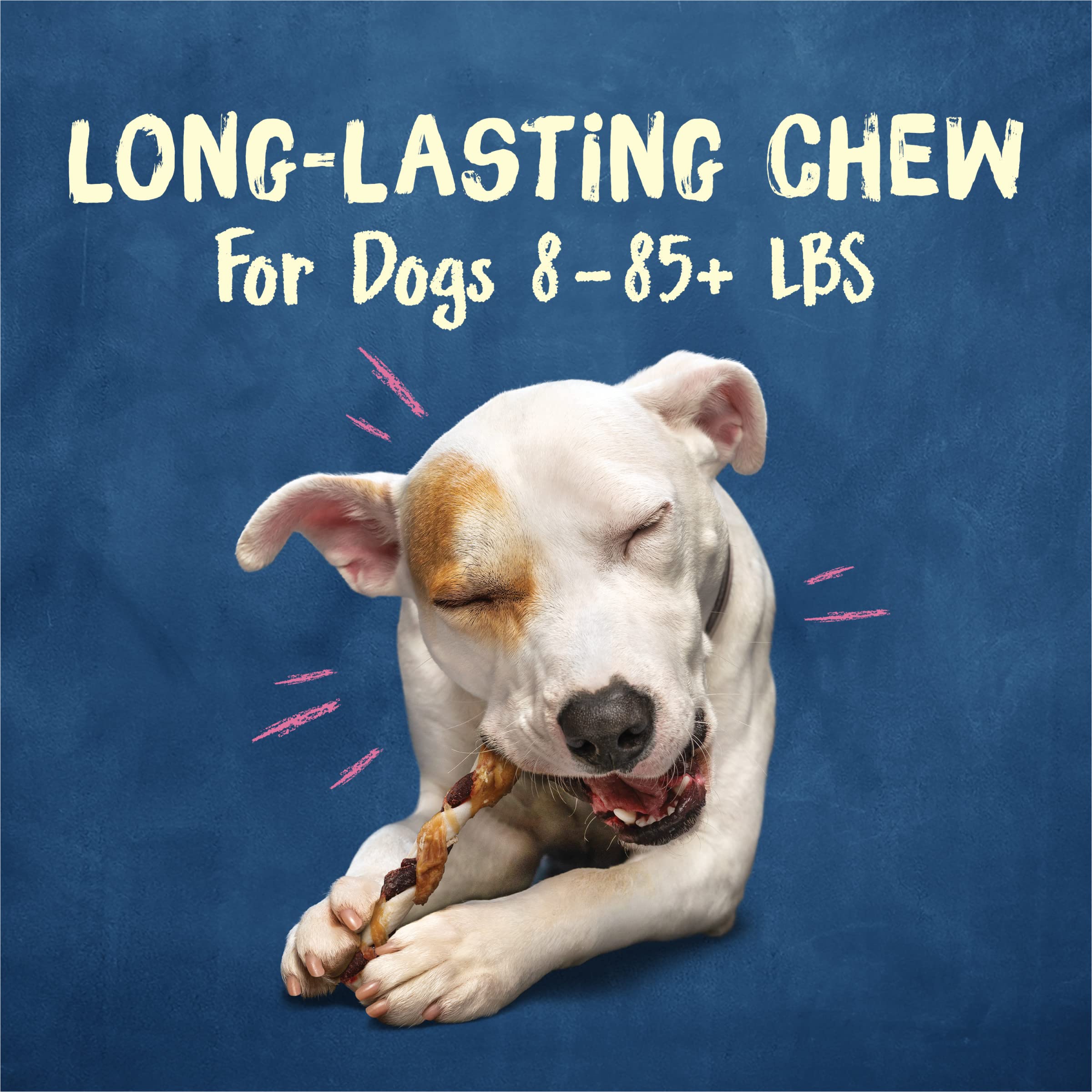Purina Busy Jerky Twists poulet, bouchées sans céréales adaptées aux chiens adultes.