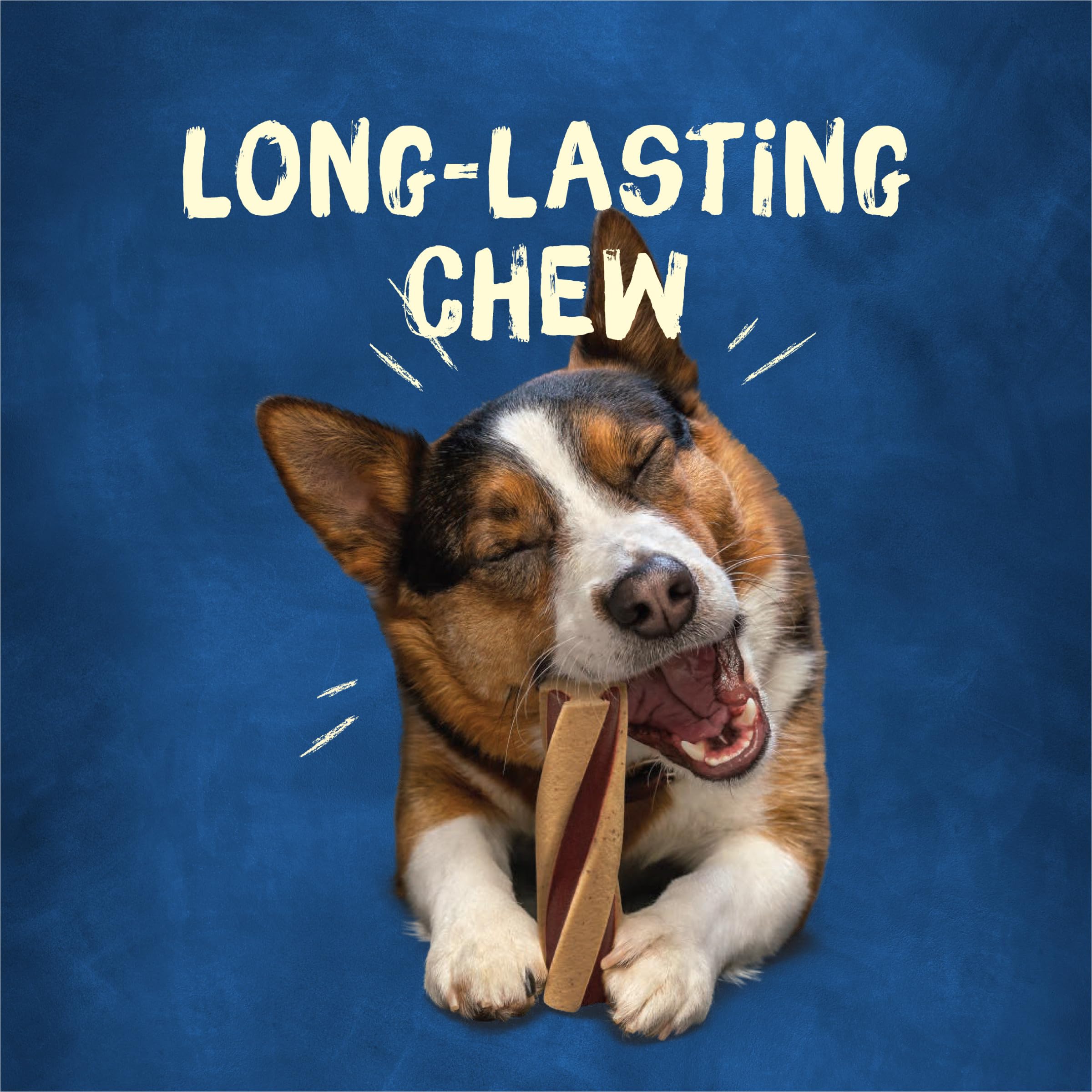 Purina Busy Beggin' Twist'd : chien en action pendant la mastication.