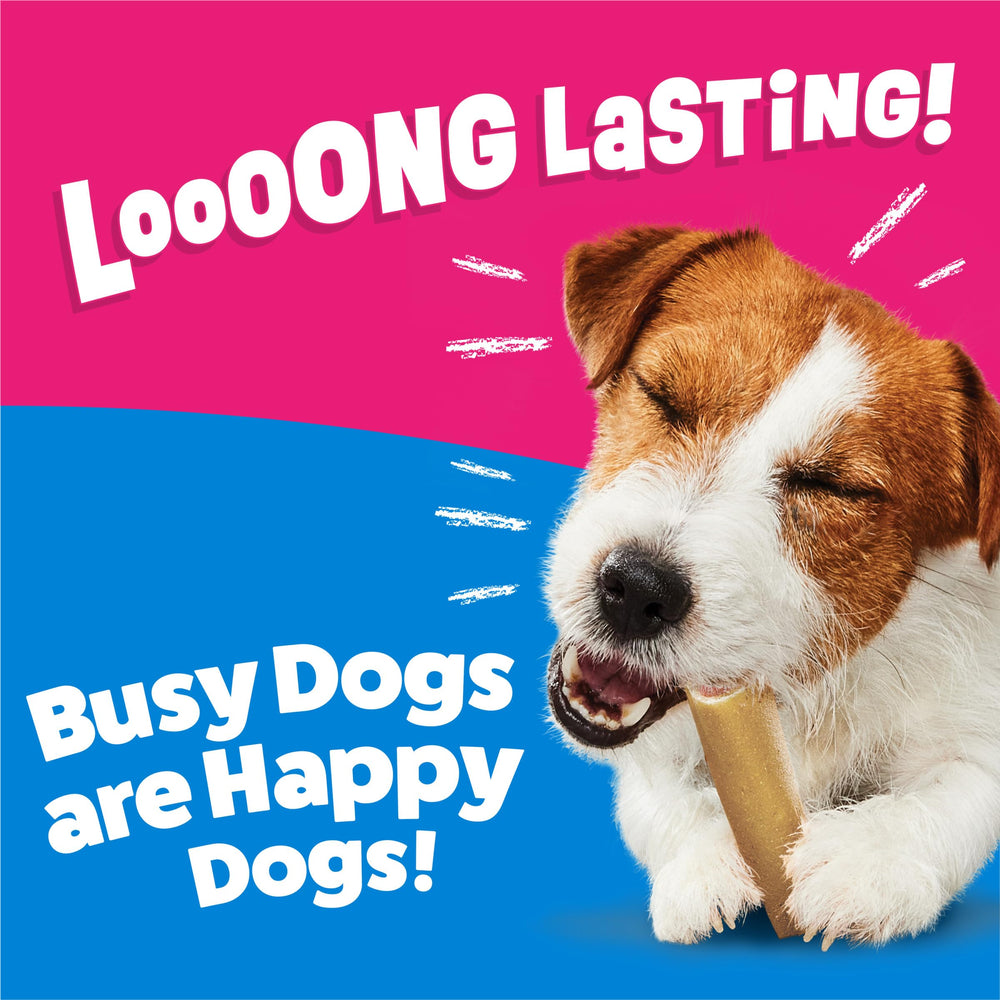 Purina Busy os mini taille-mini: adaptée aux petits chiens adultes.