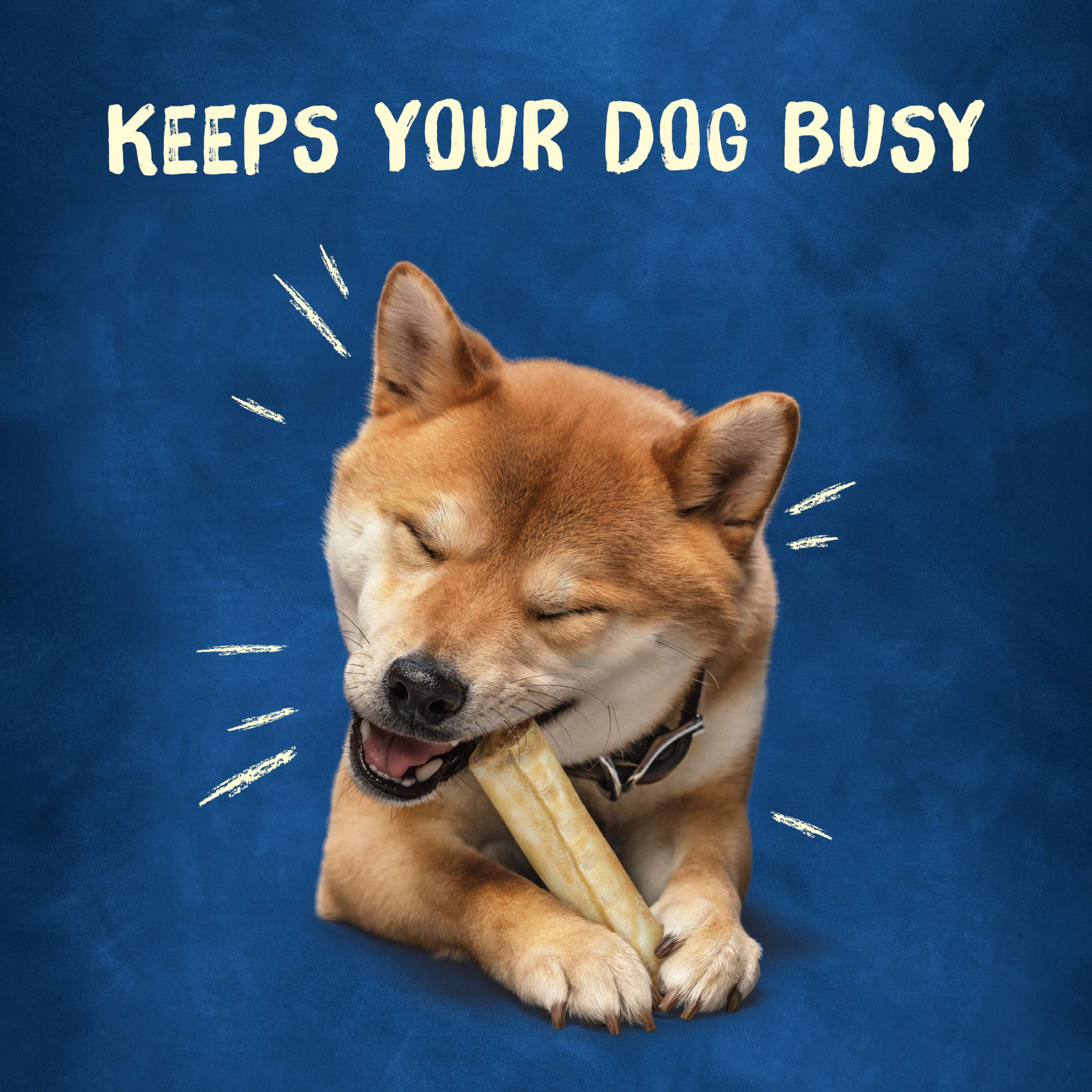 Purina Busy Rollhide: centre savoureux pour stimuler l’attention et la dégustation.