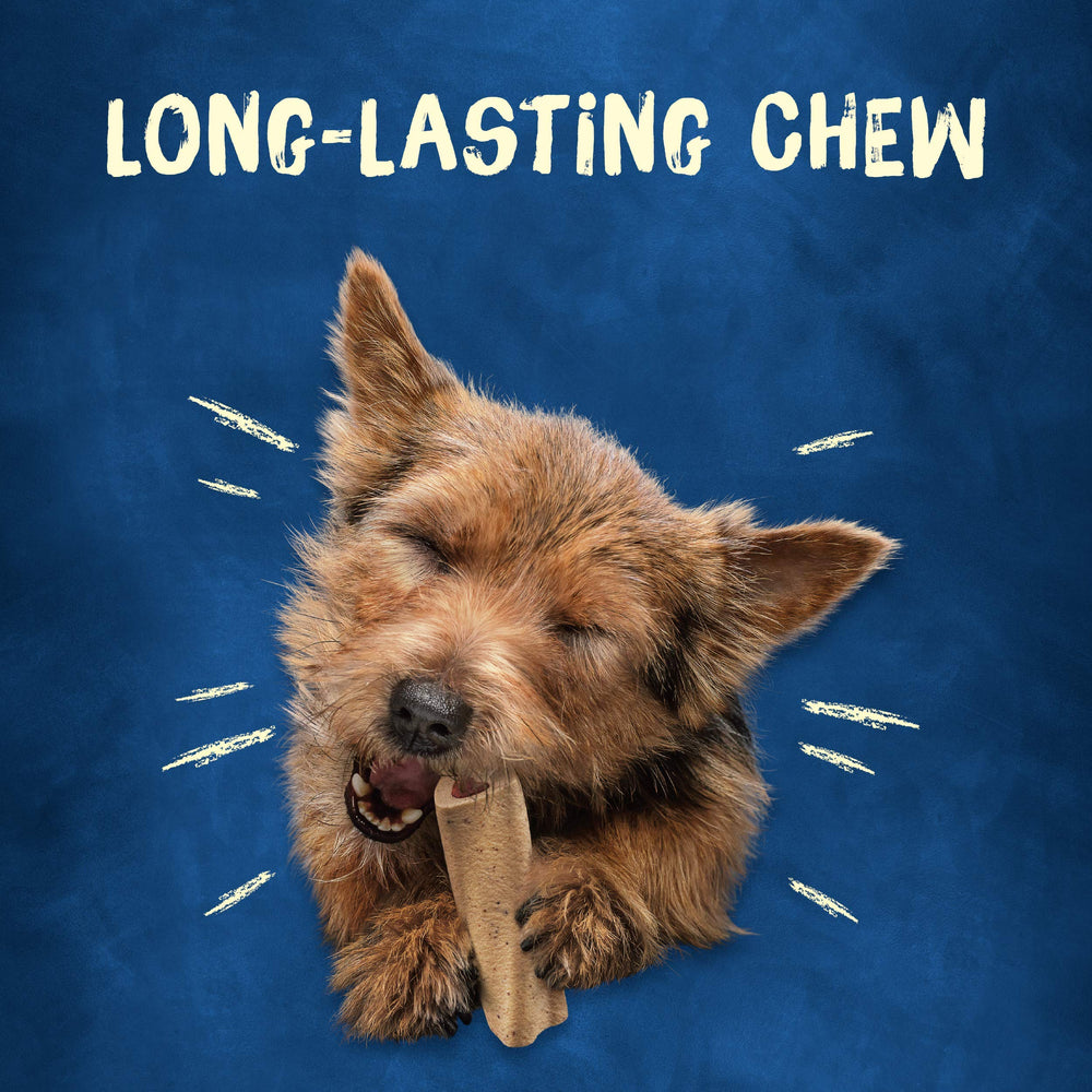 Purina Busy sans colorants artificiels