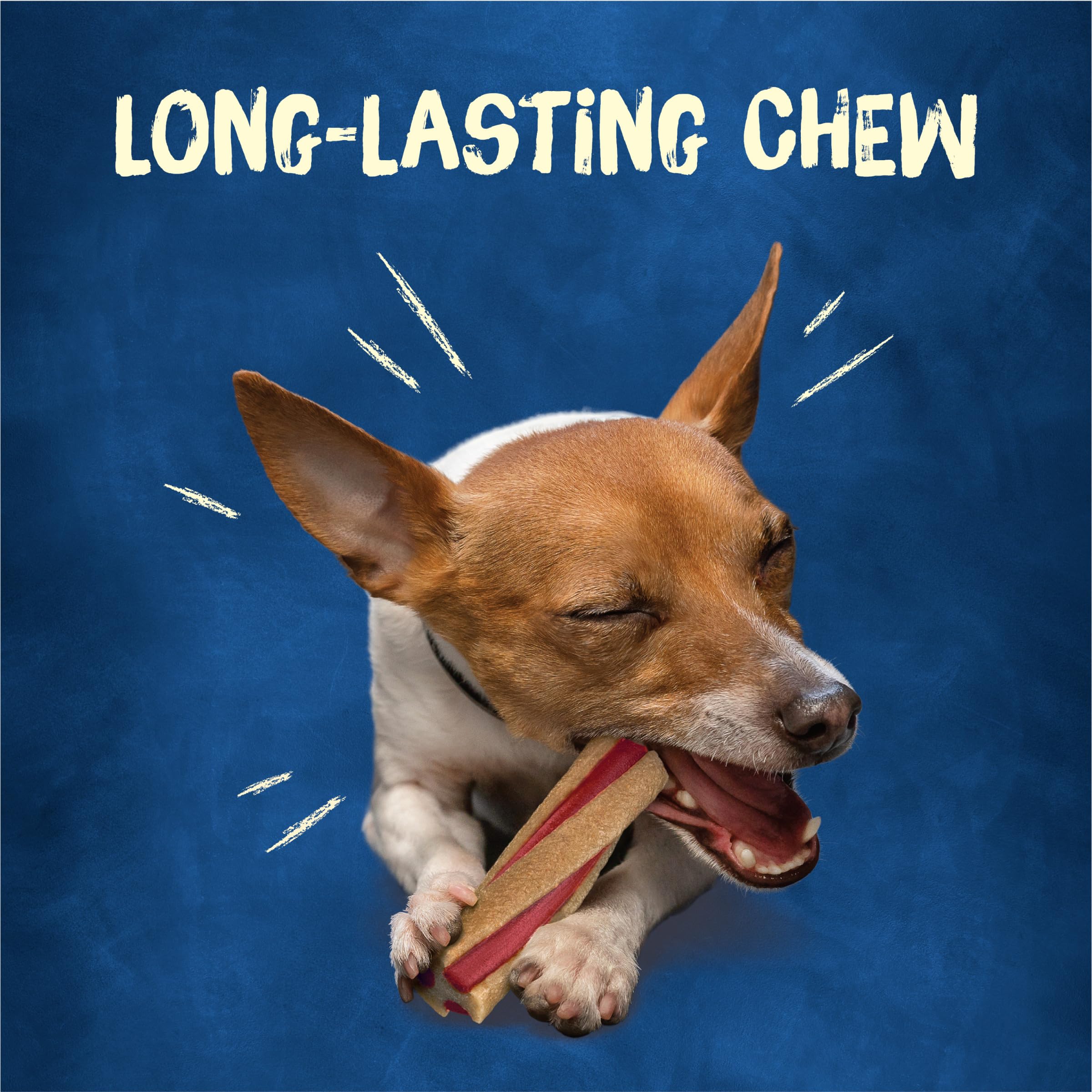 Purina Busy sans cuir et sans colorants – choix sûr pour l’animal.