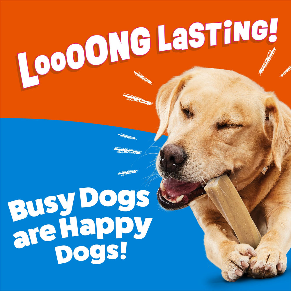 Purina Busy Bone sans rawhide, option sûre pour chiens.