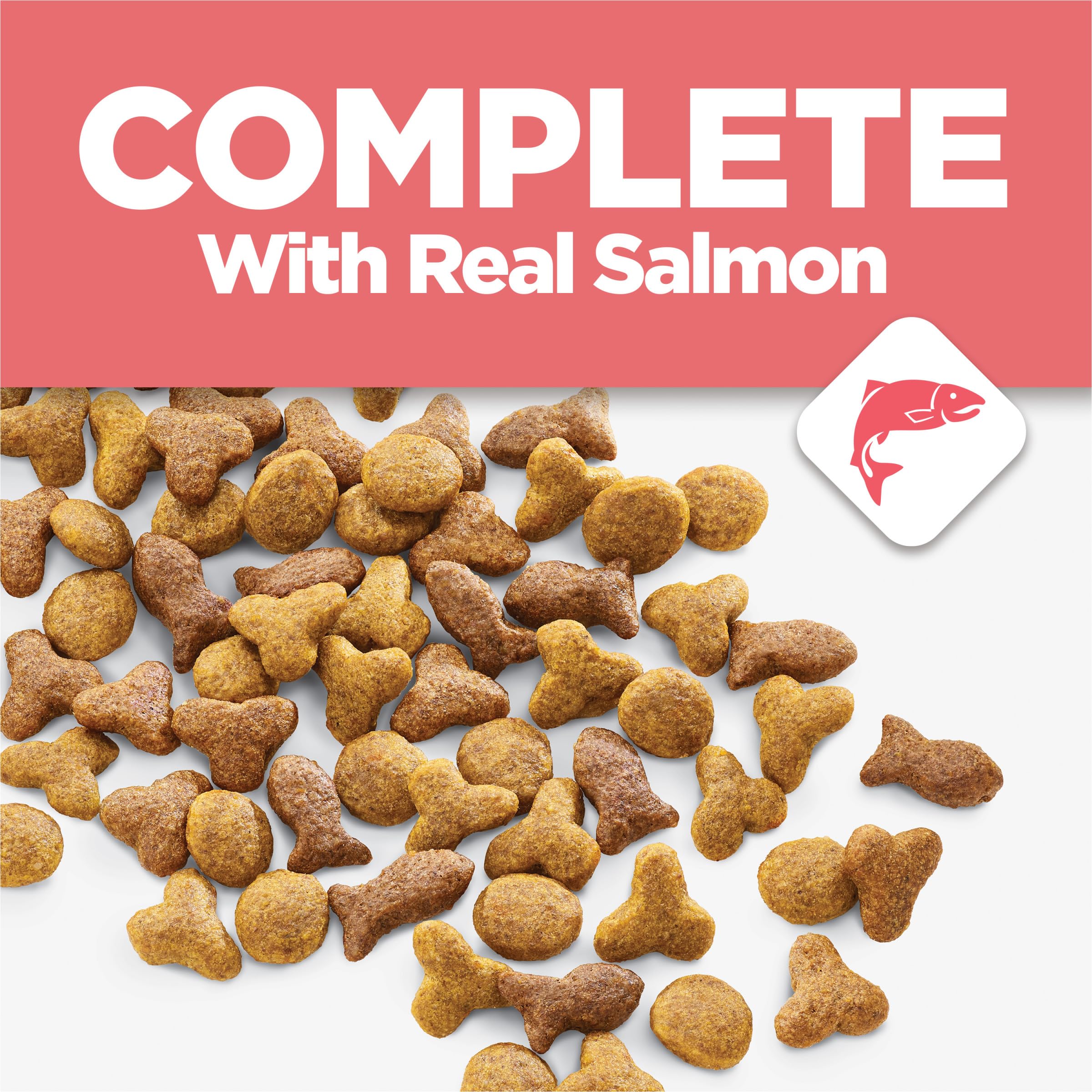 Purina Cat Chow Complete formule tous-stades: nutrition équilibrée à chaque étape