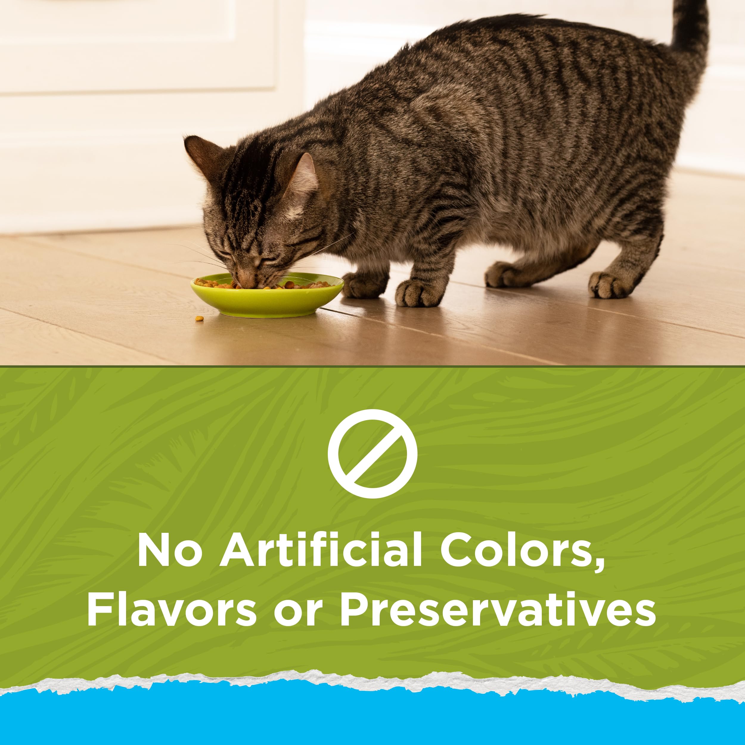 Purina Cat Chow Naturals Indoor - croquettes: fibre naturelle pour le contrôle des boules de poils.