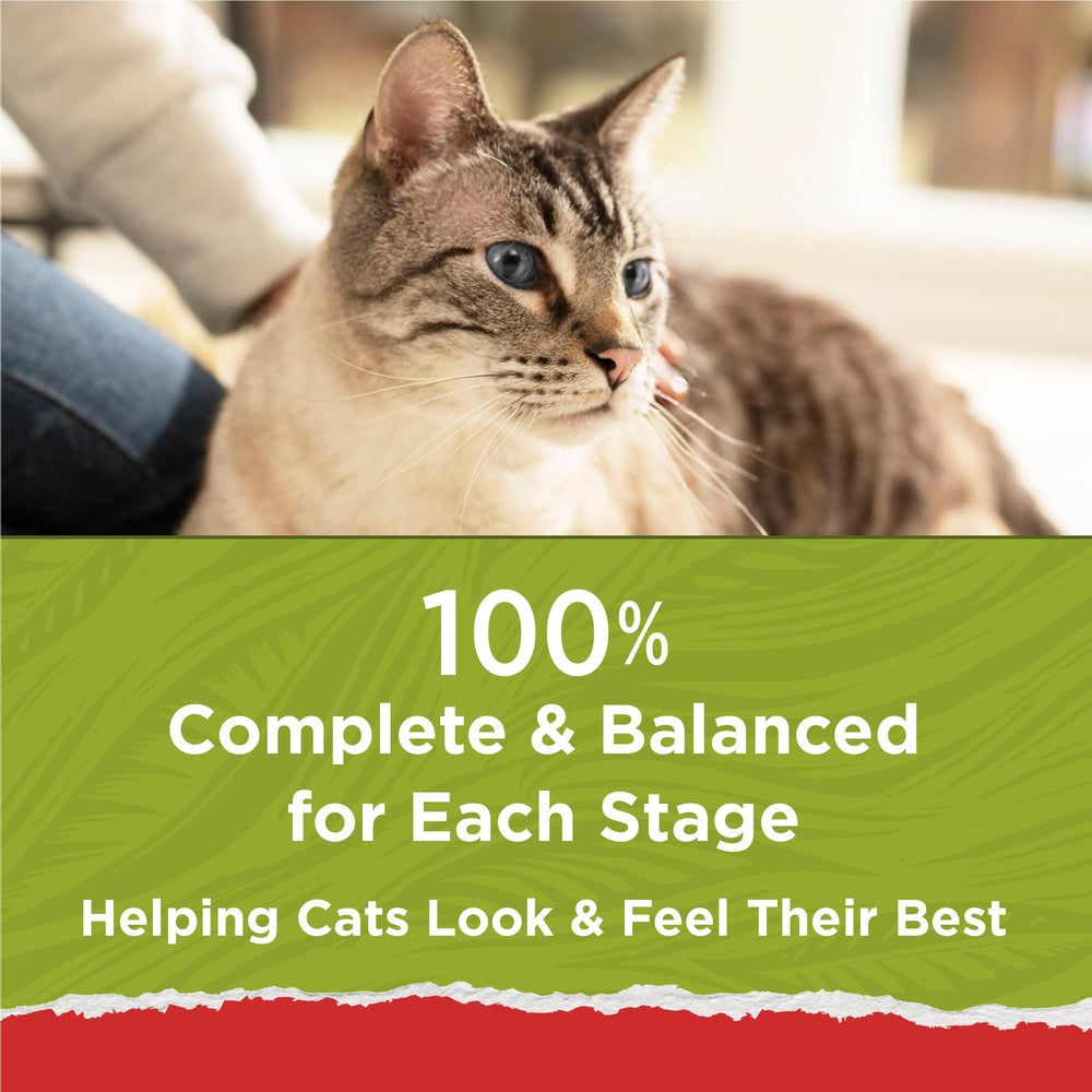 Purina Cat Chow Naturals tout-stades, convient aux chatons et adultes.