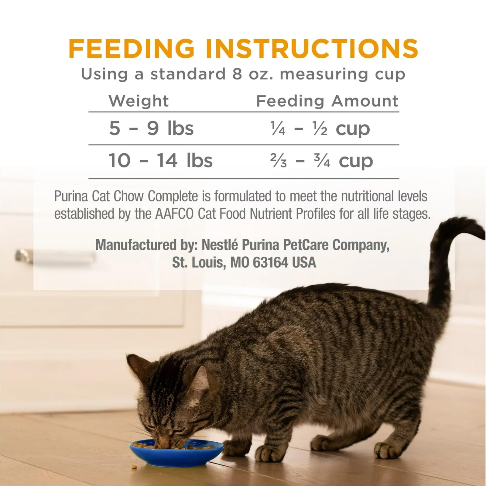 Bol prêt à servir Purina Cat Chow lors du repas quotidien.