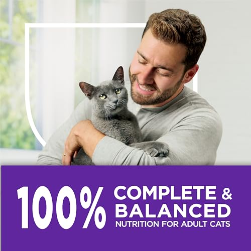 Purina Cat Chow Sante Digestive Adulte peut contribuer a un systeme digestif equilibre.