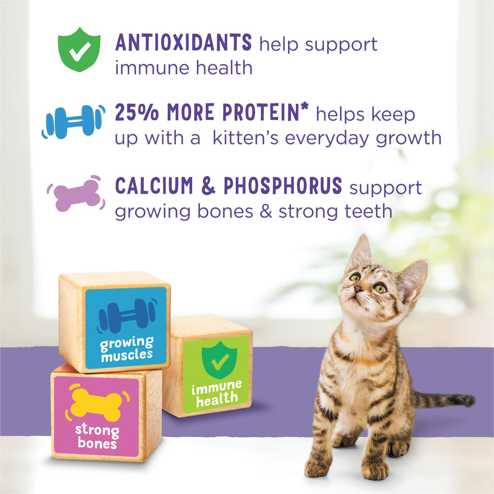 Purina Kitten Chow appétit équilibré chez le chaton