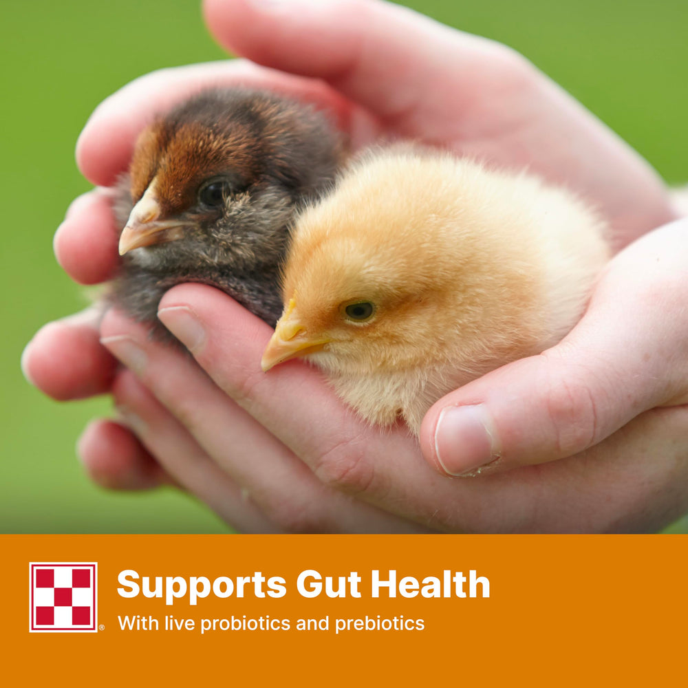 Purina Start and Grow, extrait de souci, coloration naturelle des becs et pattes.