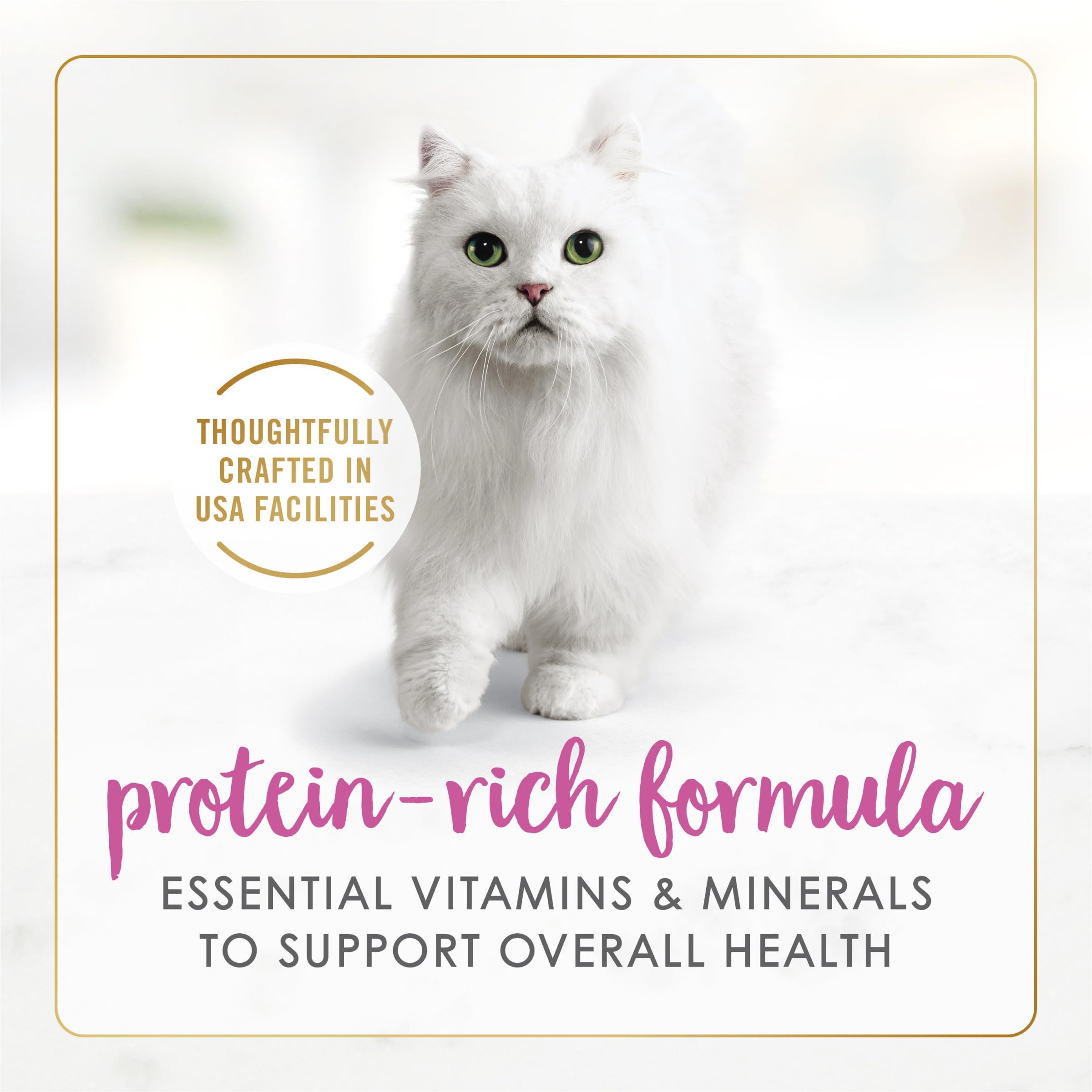 Purina Fancy Feast – texture pâte lisse avec sauce, plaisir au repas.