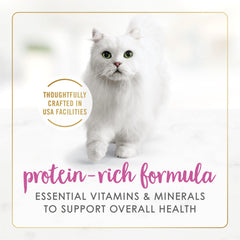 Purina Fancy Feast – texture pâte lisse avec sauce, plaisir au repas.