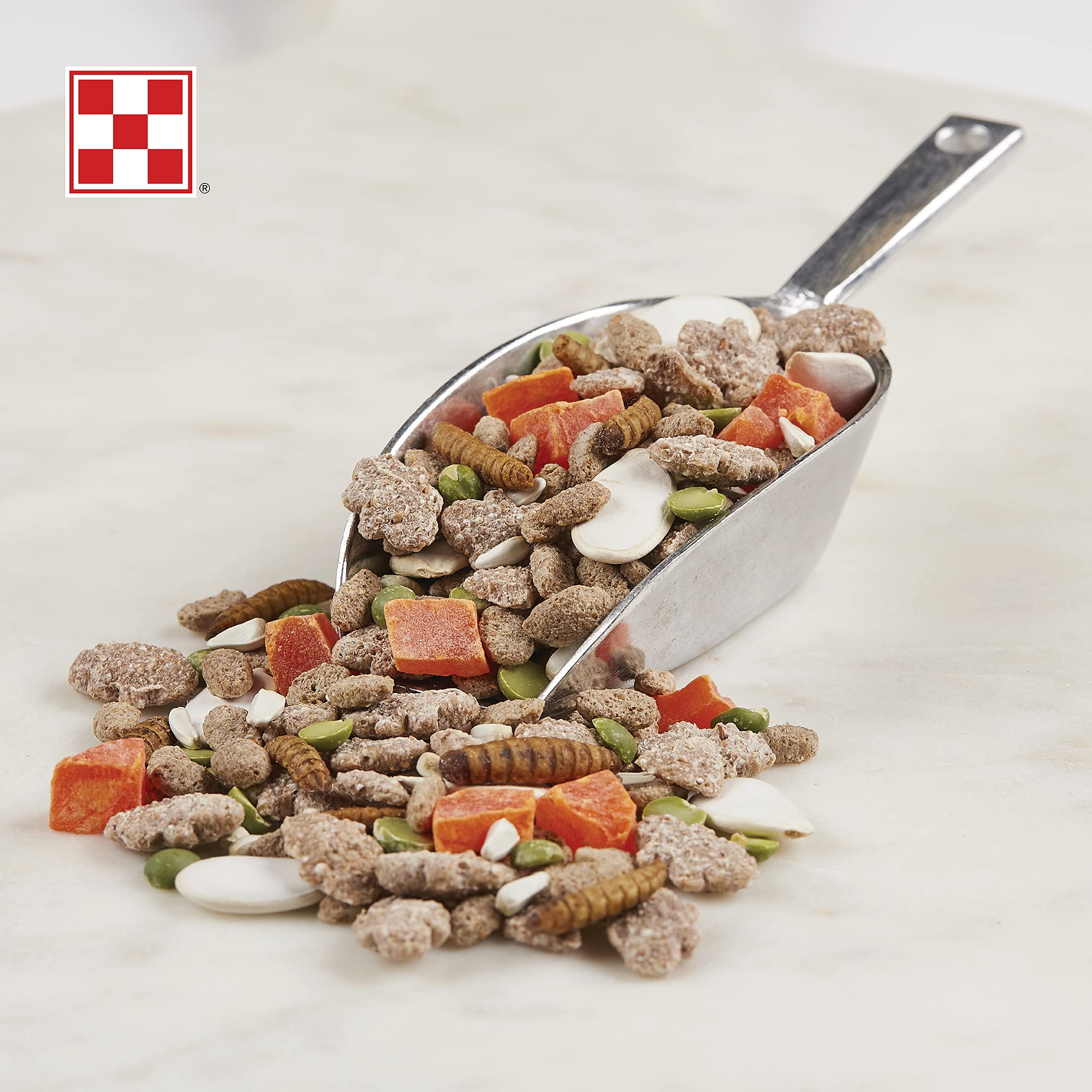 Purina Farm to Flock: larves de mouches noires, source protéique durable
