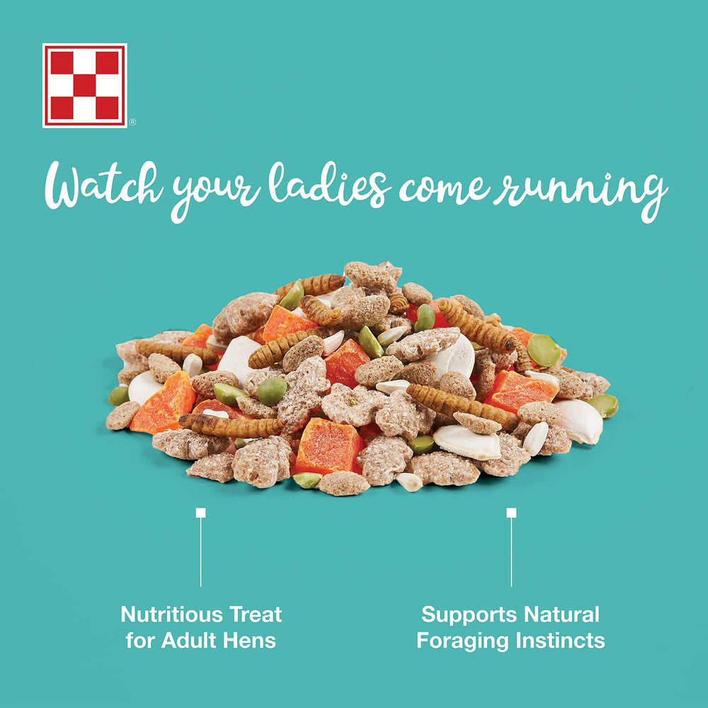 Purina Farm to Flock: poules en bol dégustant une friandise protéinée