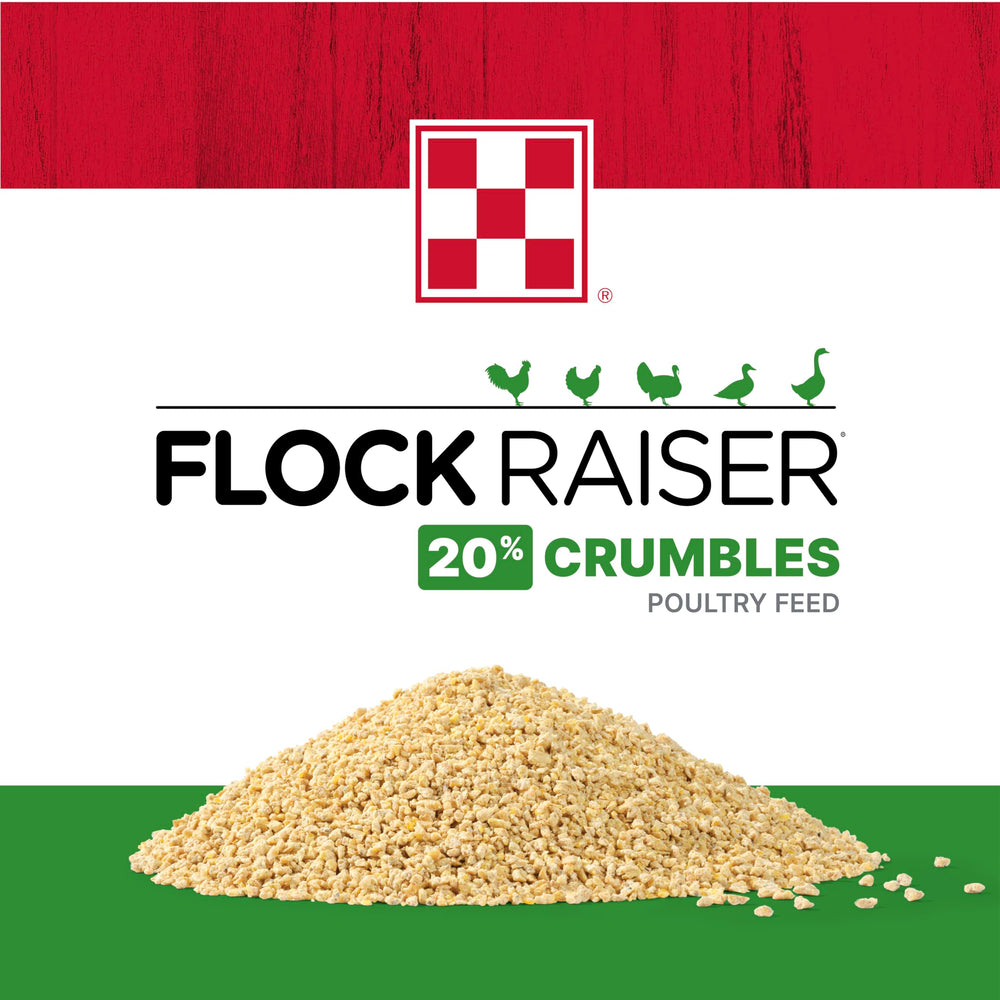 Purina Flock Raiser avec prébiotiques/probiotiques/levure pour immunité et digestion