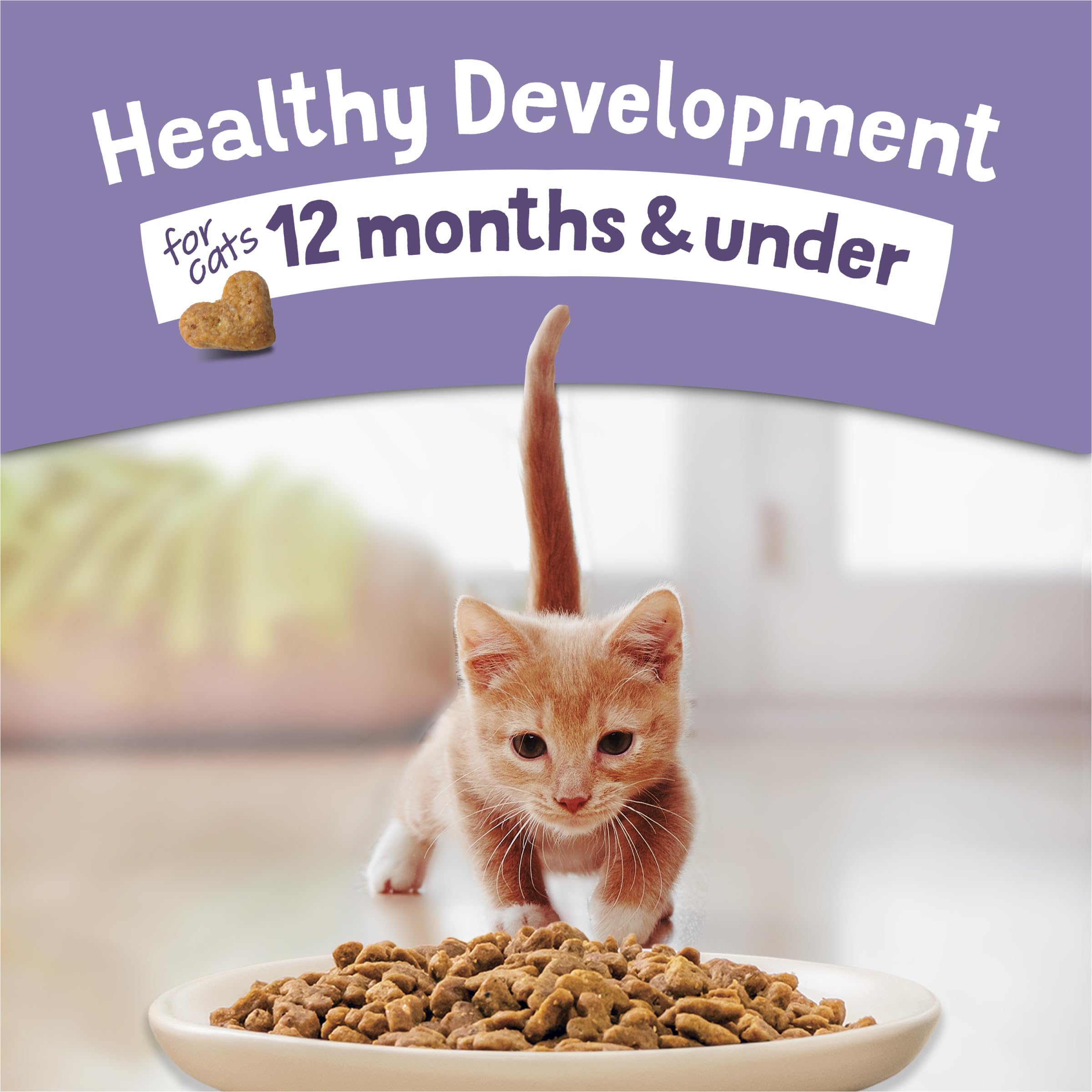 Kibble Purina Kitten Chow en gros plan mettant en valeur la texture.
