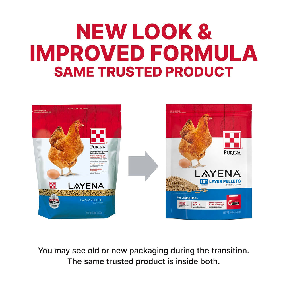 Purina Layena Pellets texture croquante appréciée par les poules.