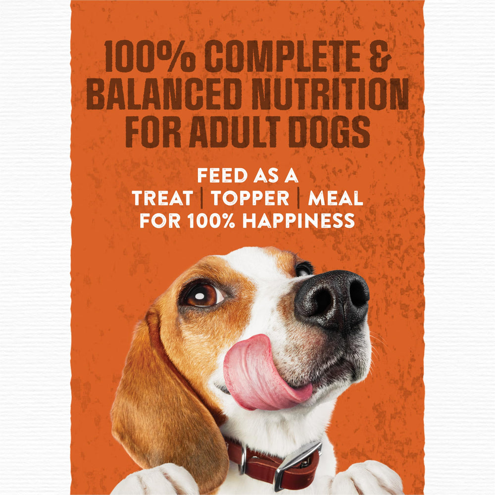 Purina Moist et Meaty – saveur cheddar pour chien, appétit stimulé.