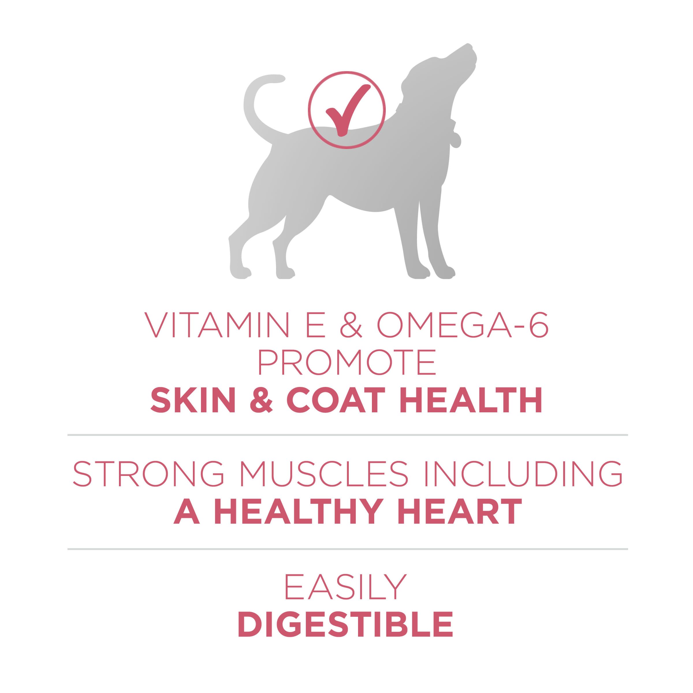 Purina ONE antioxydants variés pour le système immunitaire du chien