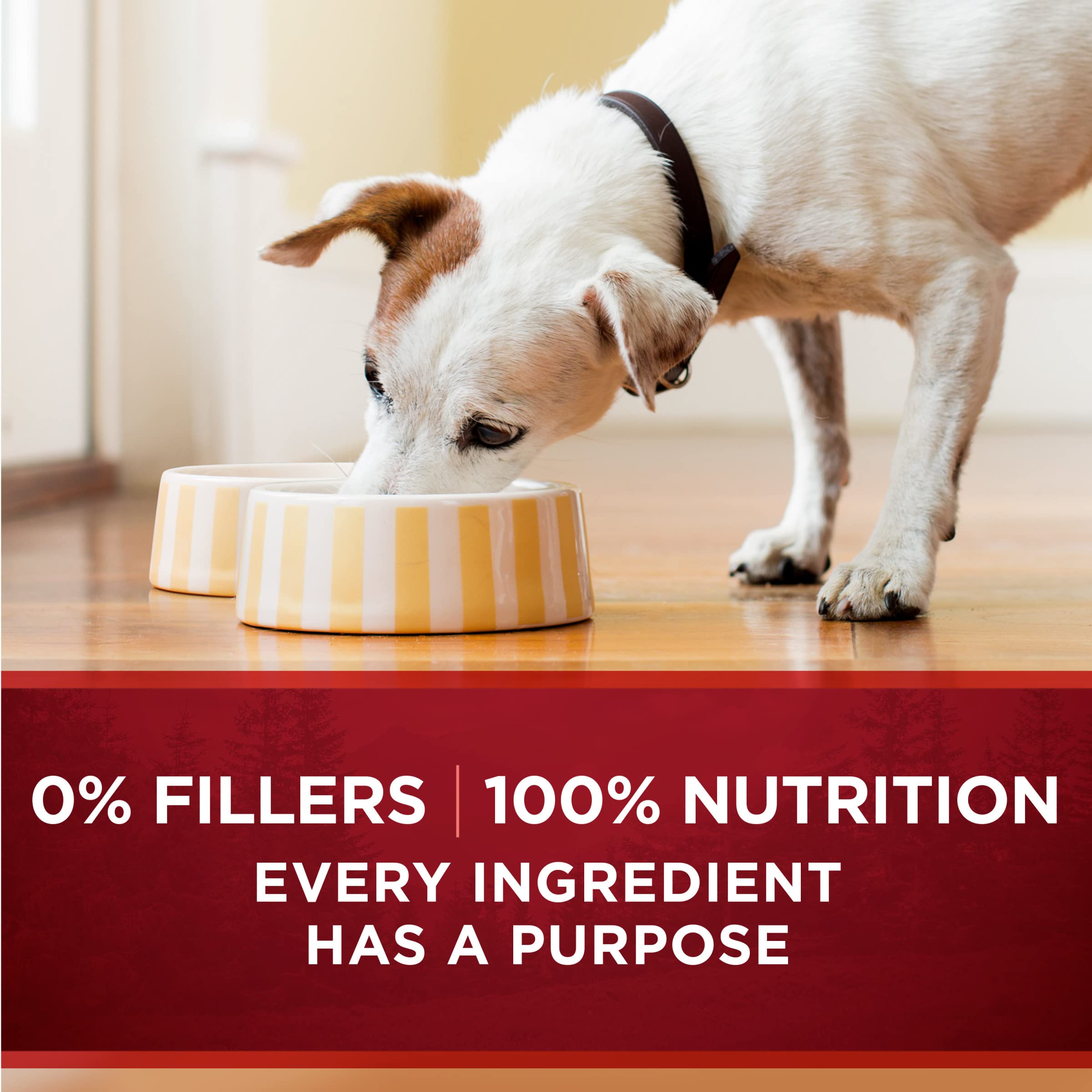Purina ONE antioxydants, soutien immunitaire potentiel