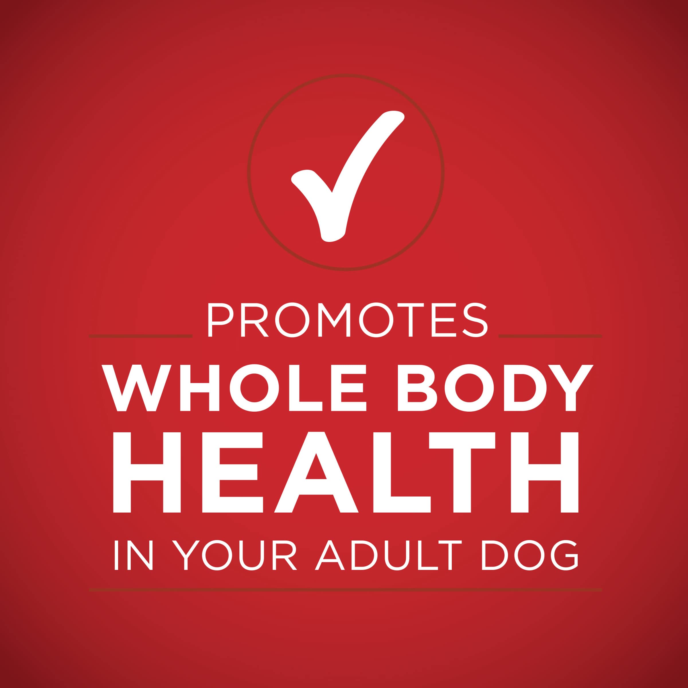 Purina ONE, antioxydants pour soutenir le système immunitaire du chien