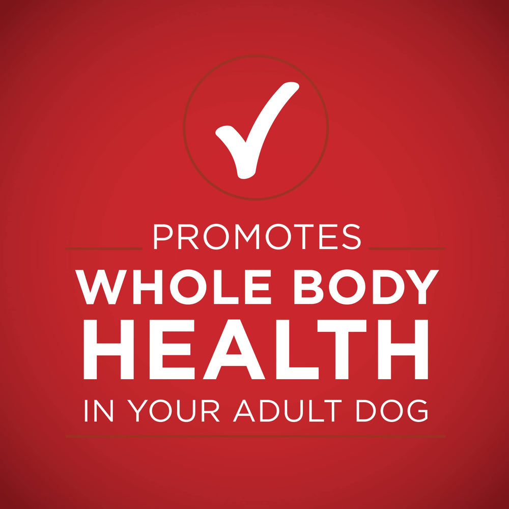 Purina ONE, antioxydants pour soutenir le système immunitaire du chien