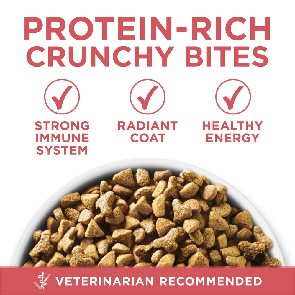 Purina ONE calcium – dents solides pour chat
