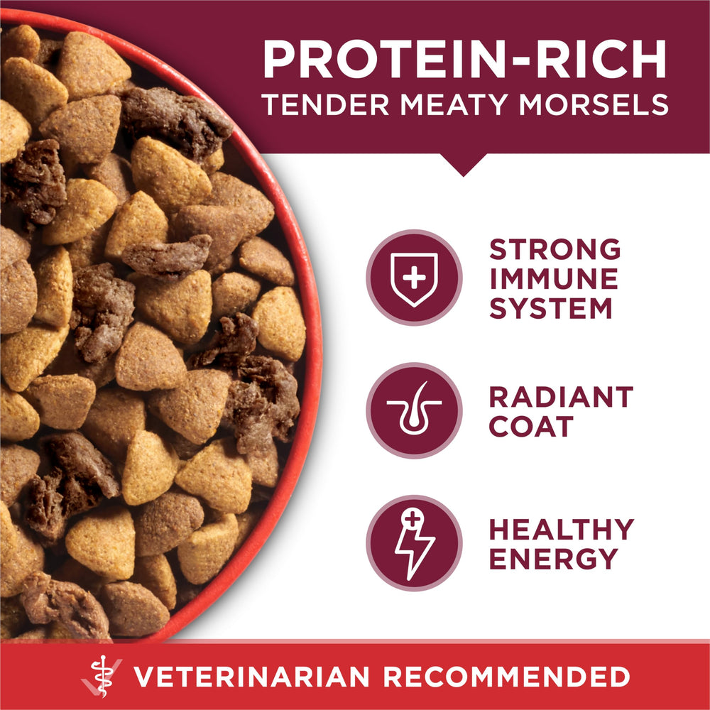 Purina One calcium – aide à maintenir des dents solides.