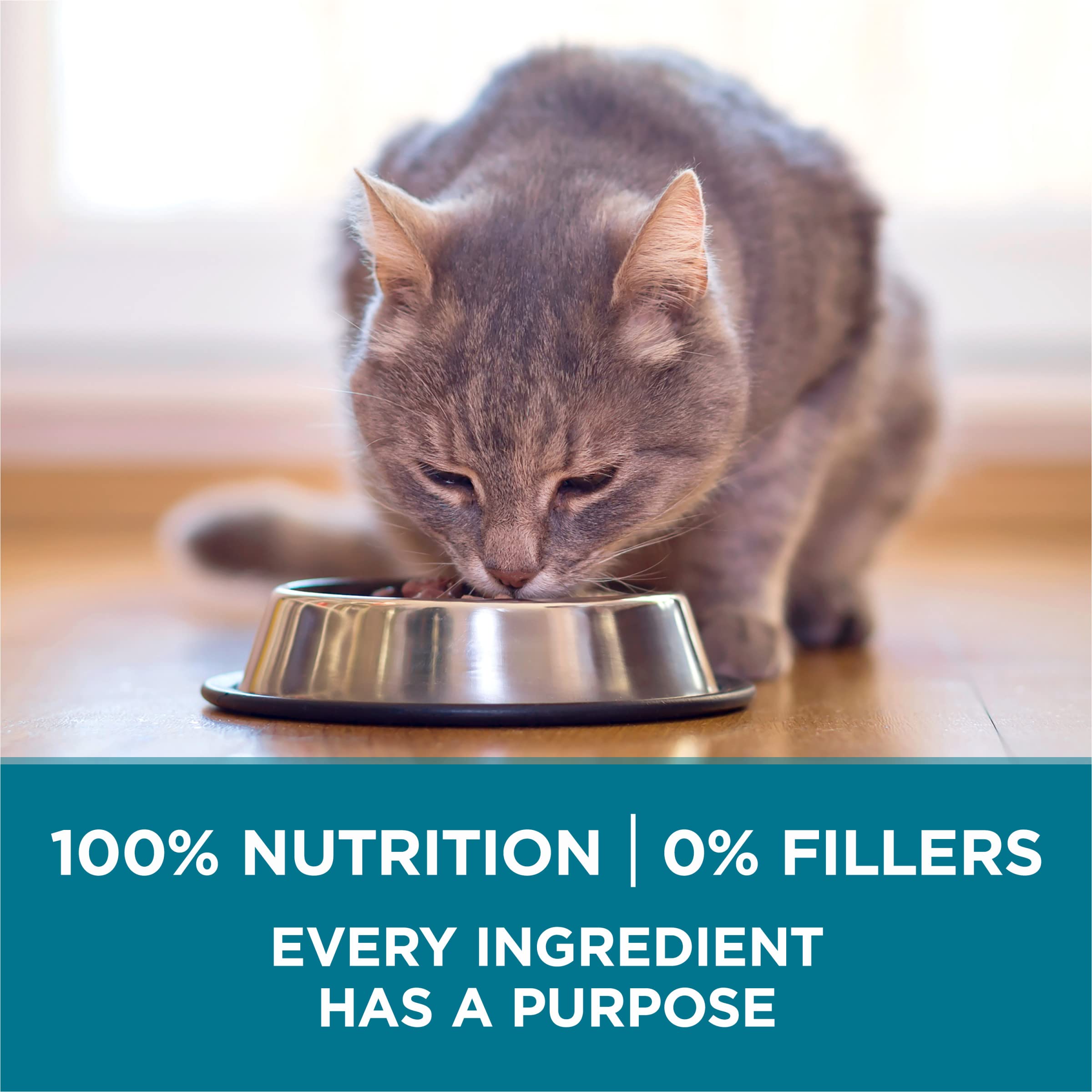 Purina ONE calcium-dents , aide à entretenir des dents fortes.