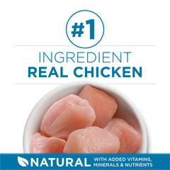 Croquettes croustillantes Purina ONE Indoor Advantage Senior+ pour texture agréable