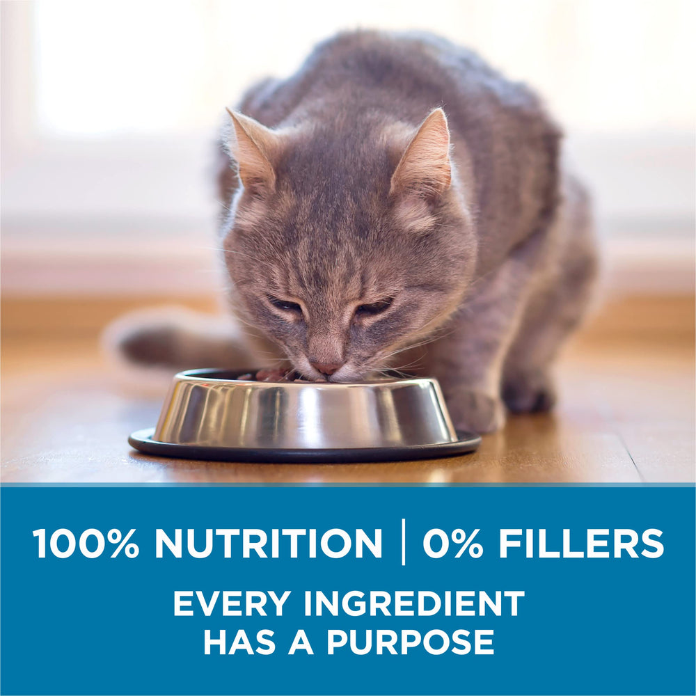 Oméga-6 pour peau et pelage sains chez Purina ONE Chat Indoor