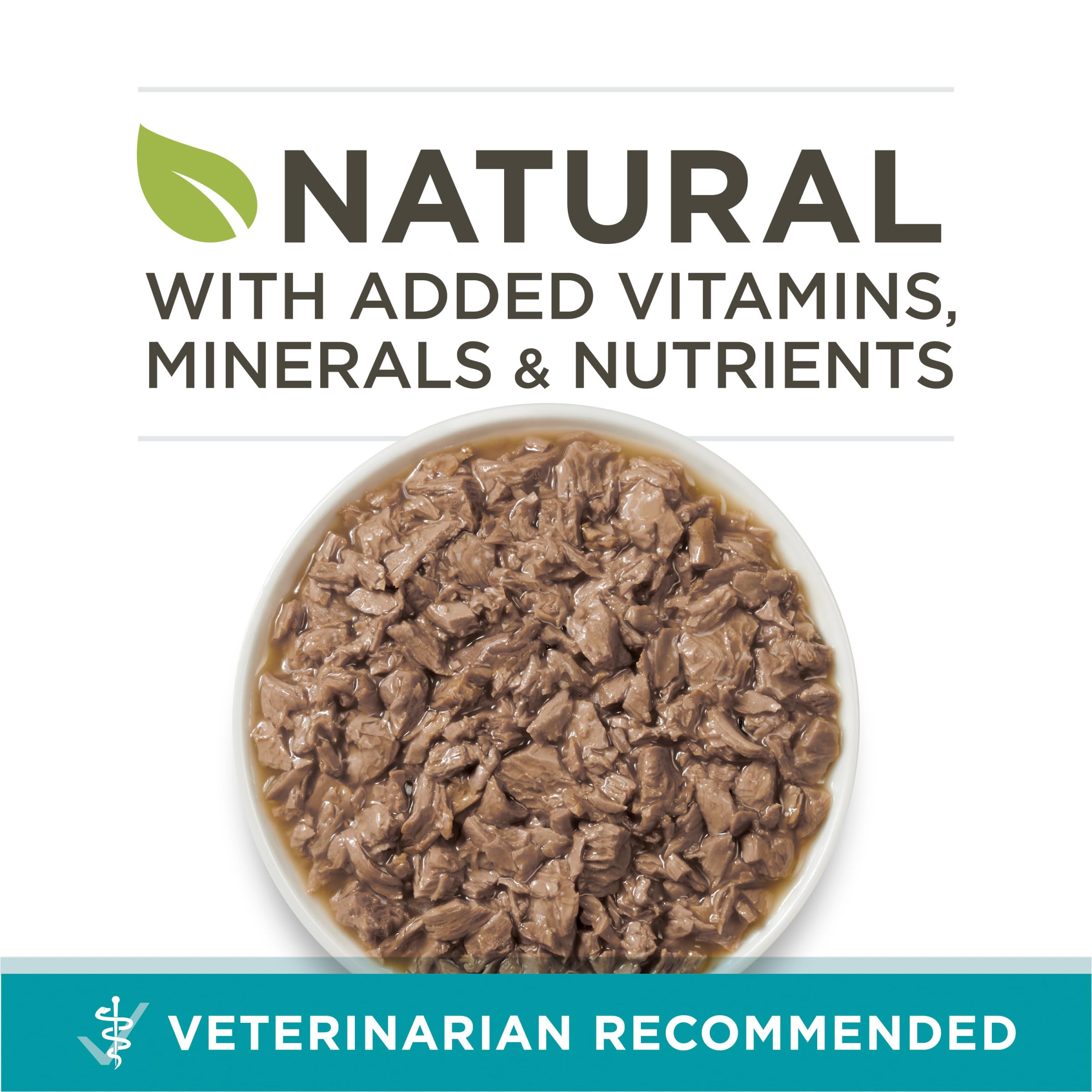 Purina ONE Chat protéines élevées – texture humide à base de dinde pour soutenir les muscles.