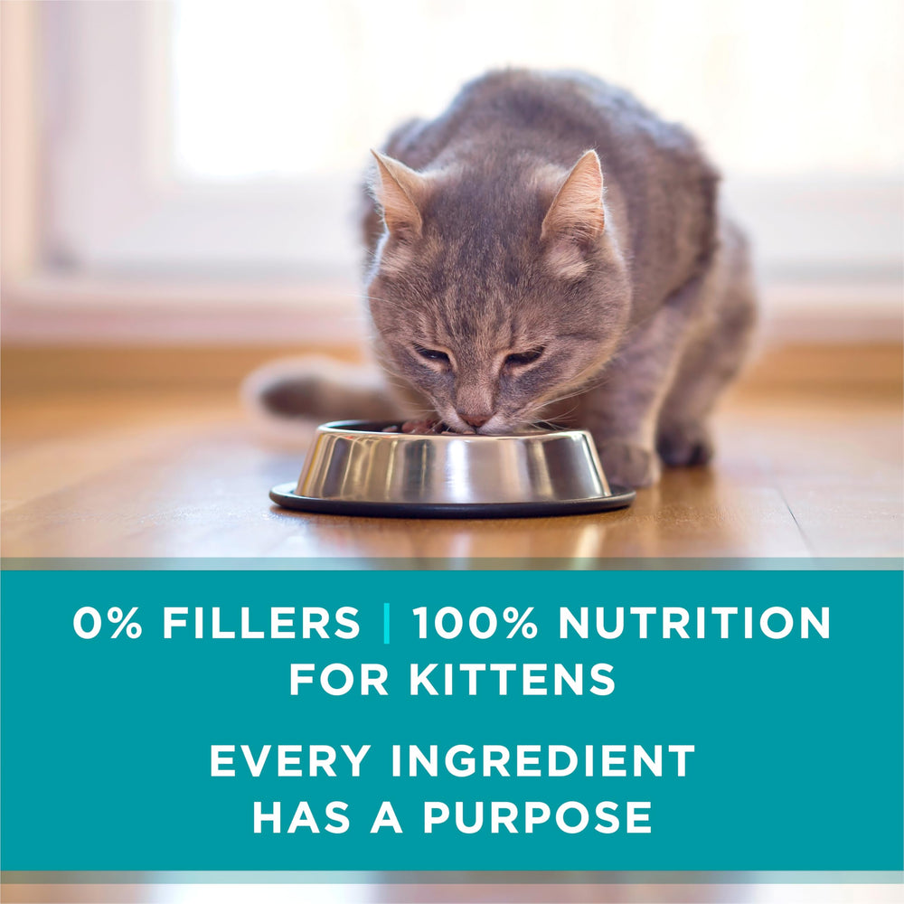 Purina ONE avec vitamines et minéraux: nutriments essentiels pour le développement.
