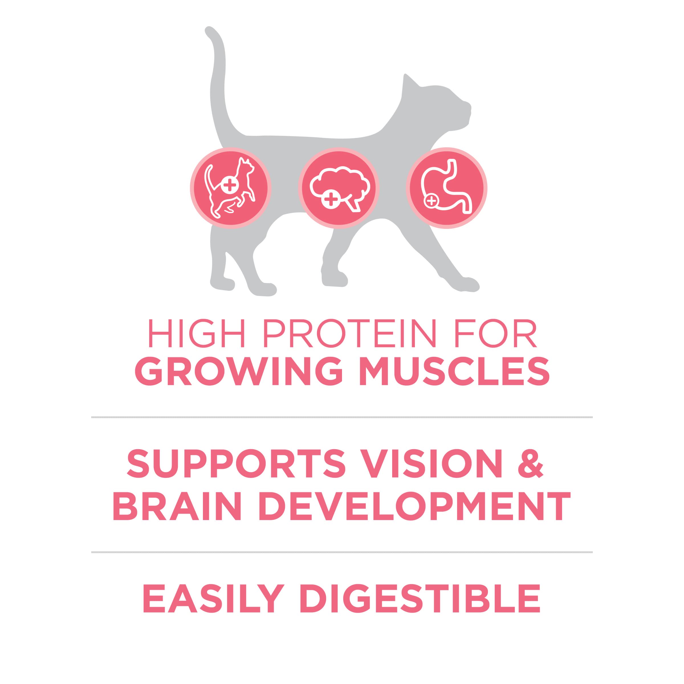 Purina ONE chatons, antioxydants soutiennent l'immunité.