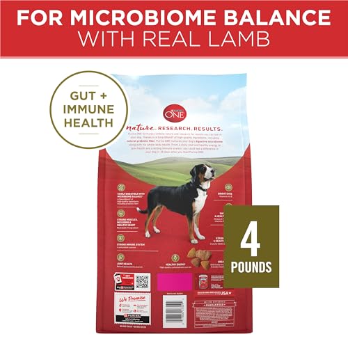 Purina ONE croquettes crispes — texture appréciée par les chiens