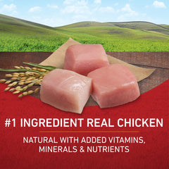 Purina ONE croquettes poulet riz, texture appétissante et repas quotidiens