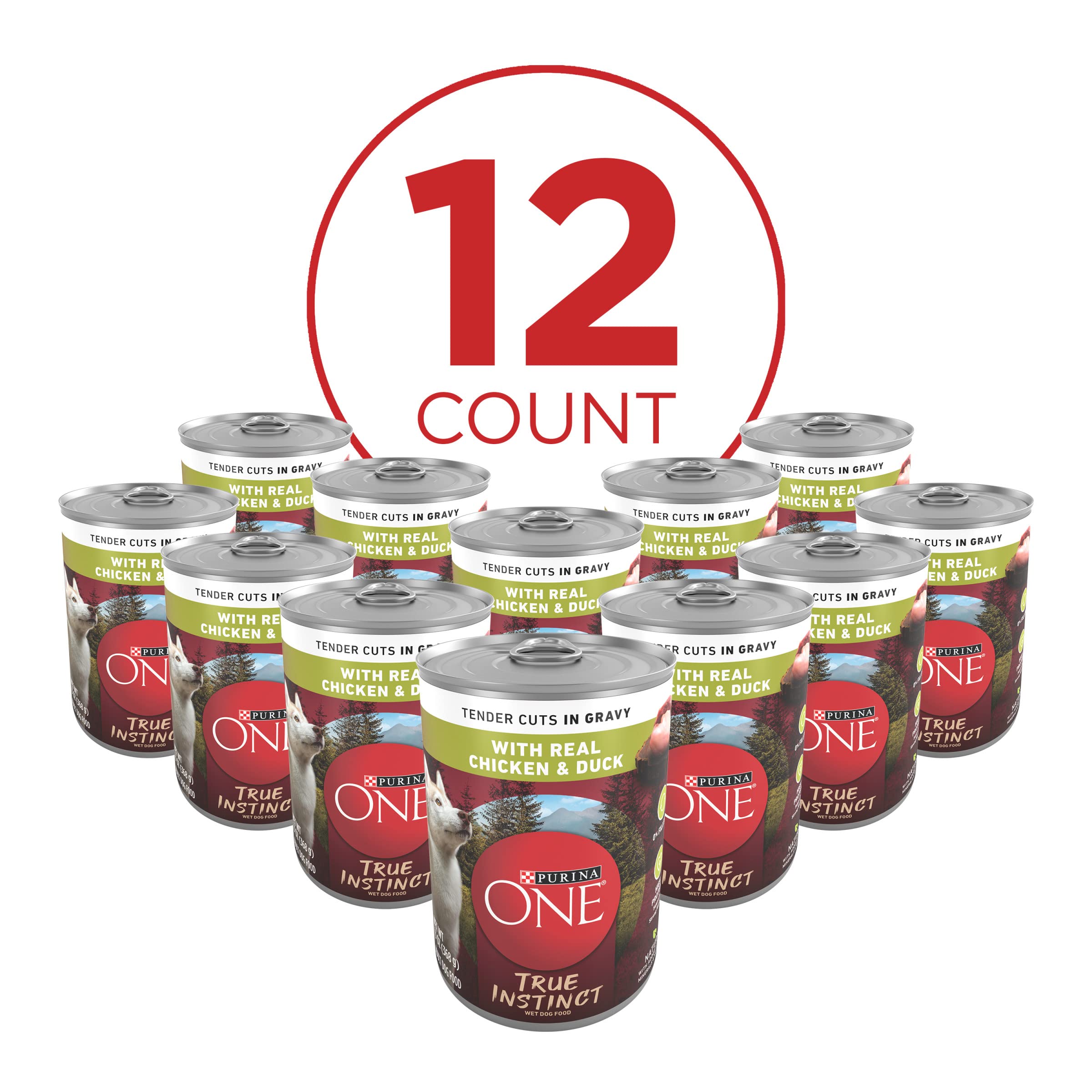 Purina ONE étiquette poulet et canard, nutrition complète pour chien adulte