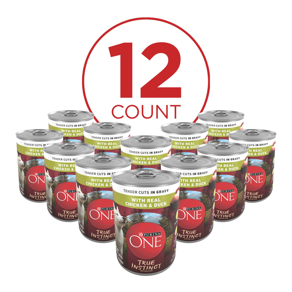 Purina ONE étiquette poulet et canard, nutrition complète pour chien adulte