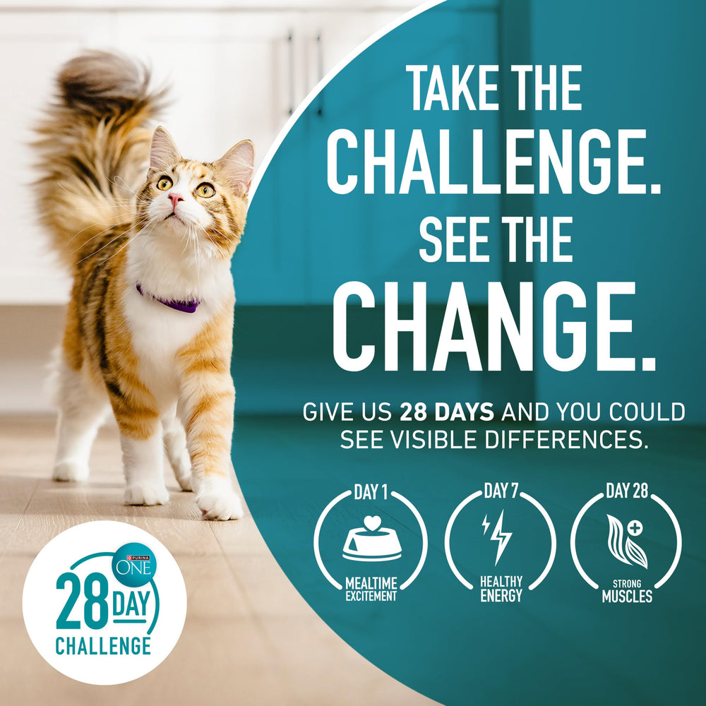 Purina ONE guide-alimentation pour chats adultes , plan clair et pratique.