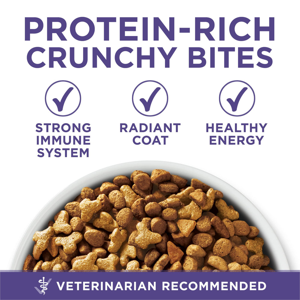Purina ONE Hairball Formula soutient les muscles et le cœur du chat.