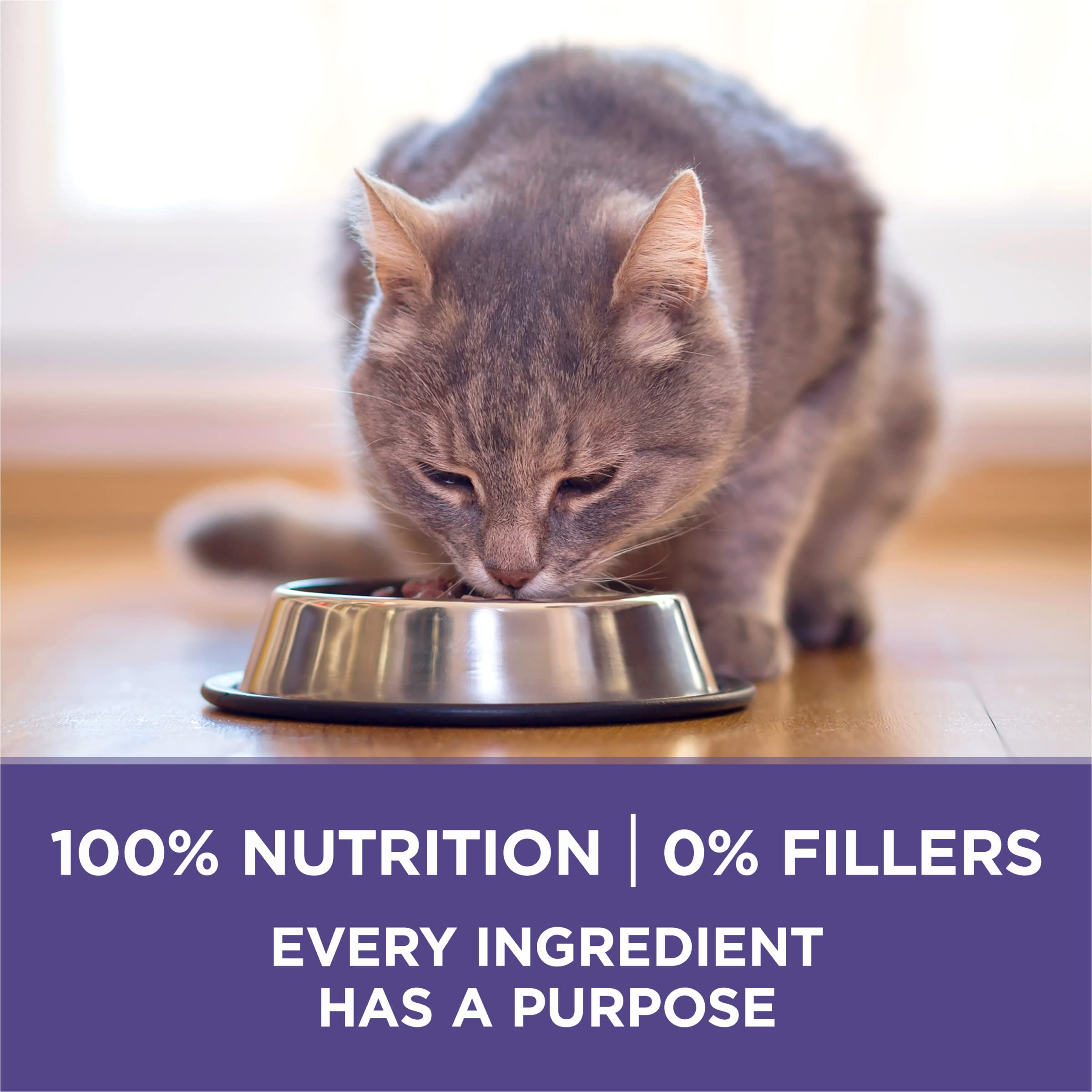Calcium ajouté dans Purina ONE Hairball Formula pour dents et gencives saines.