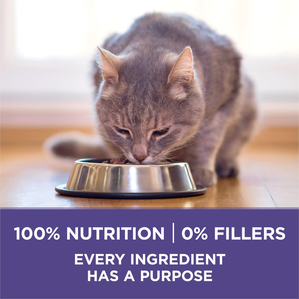 Calcium ajouté dans Purina ONE Hairball Formula pour dents et gencives saines.
