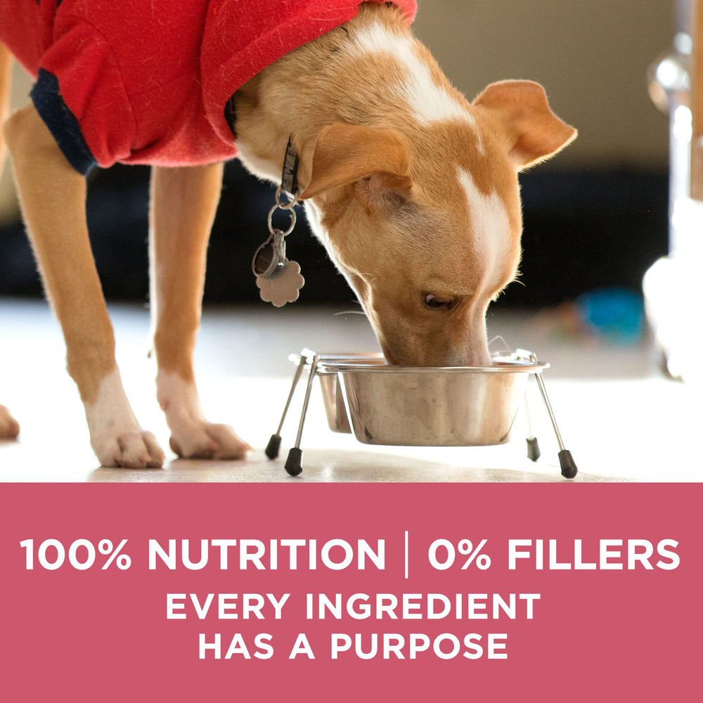 Purina One information nutritionnelle: détails sur les nutriments clés